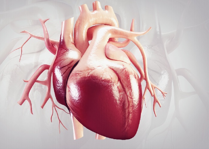 در هر ضربان قلب میزان پمپاژ خون چقدر است؟