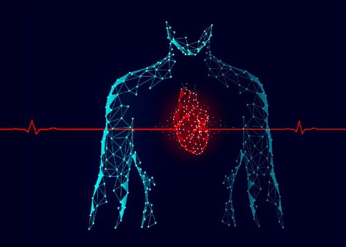 سیستم کنترل ضربان قلب چگونه کار میکند؟