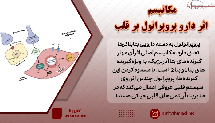 مکانیسم استفاده از پروپرانول در بیماری های قلب و عروق