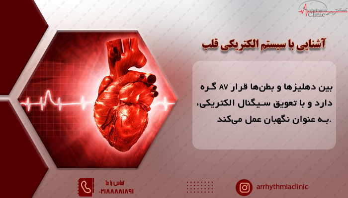 گره سینوسی دهلیزی، دهلیزی، دهلیزی بطنی و دسته هیس و فیبرهای پورکنژ از اصلی ترین نقاط ایجاد سیستم الکتریکی دربستر عضلات قلبی به شمار می روند.